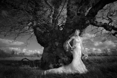 Camelot Photographic Ltd