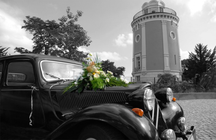 laurence king photography - 1000126_44ca7ae95b17da.jpg