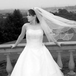 The Wedding Guy