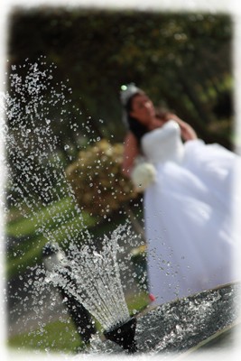 Gary Davidson Photography - 1000241_14d34b4f247137.jpg