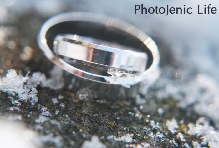 PhotoJenic Life - 1000334_14dad2f4ba9d5c.jpg
