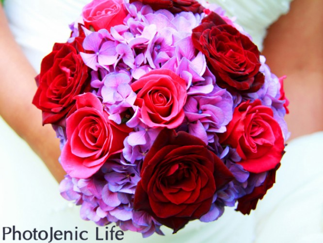 PhotoJenic Life