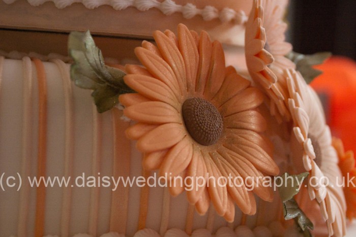 Daisy Wedding Photography - 1000514_14e80a50e1b859.jpg