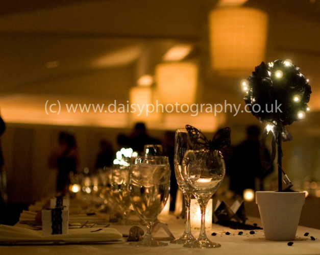 Daisy Wedding Photography - 1000514_44e80a622a393a.jpg