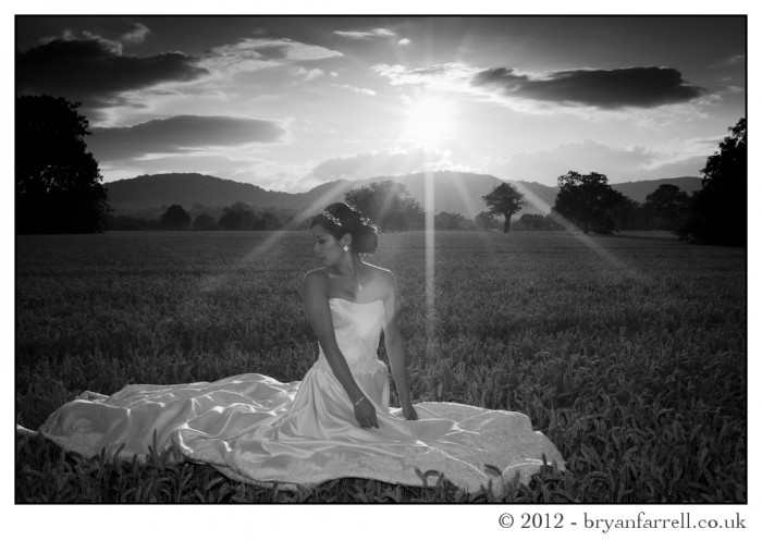 Somerset Wedding