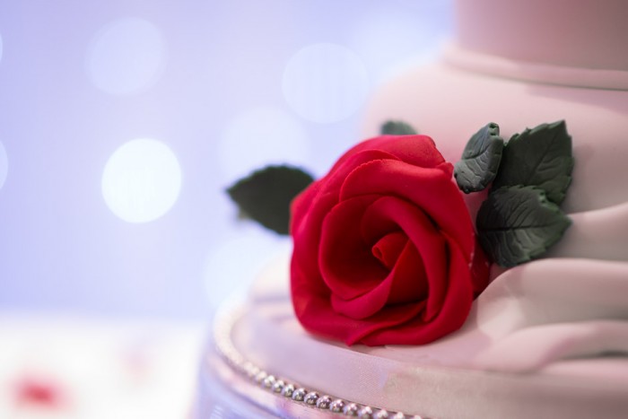 Danny T Photography - 1000725_350216069514e5.jpg