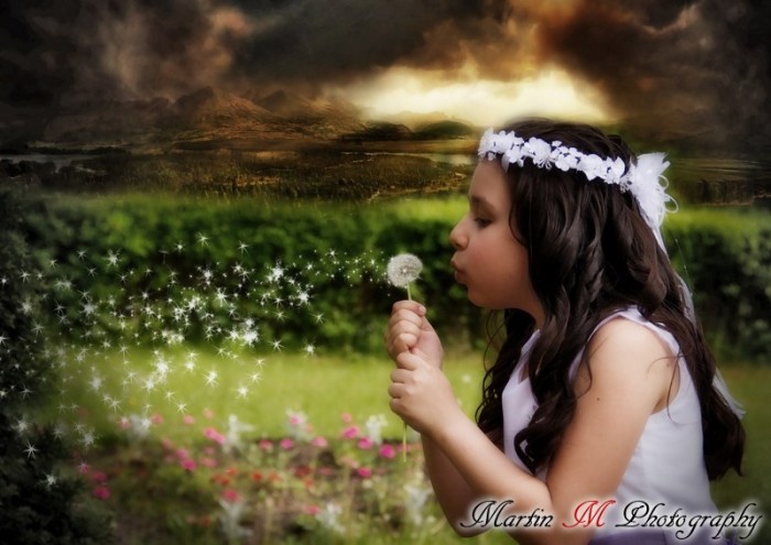 Martin M Photography - 1000740_4506a94280a5d4.jpg