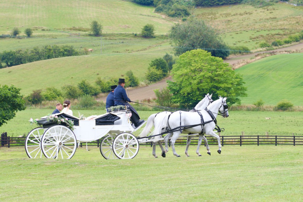 Carmen Falkenburg Photography - 1001612_2689a74cc0d651.jpg