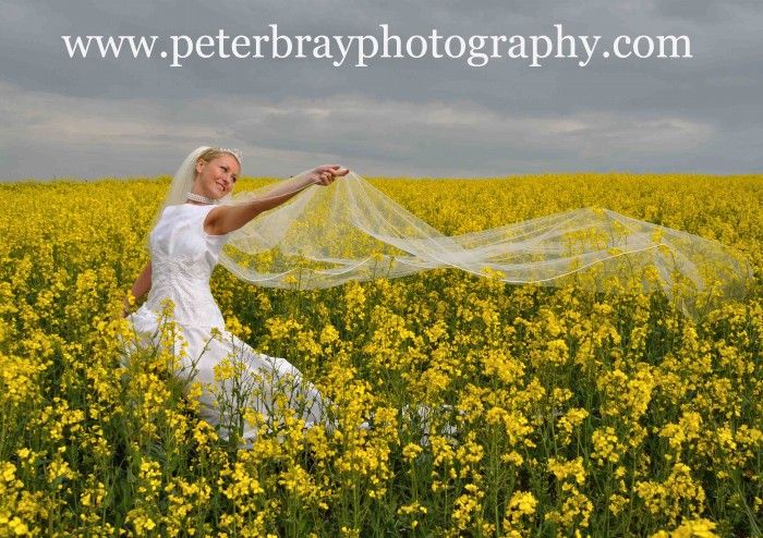 Peter Bray Photography