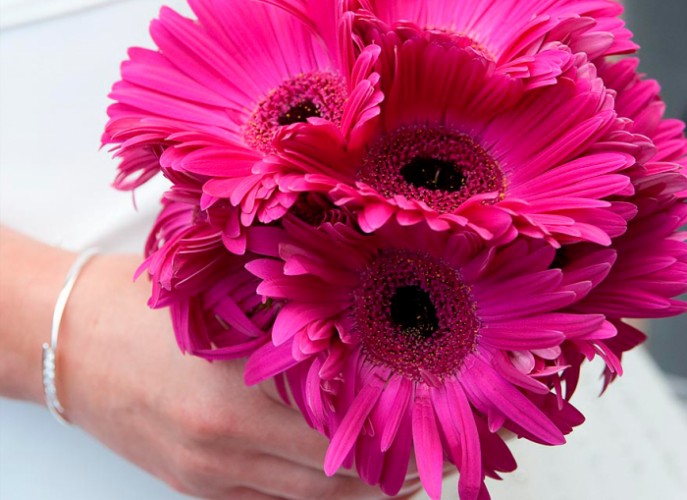 Hackett Photography - 1377_44db81d386f0b8.jpg