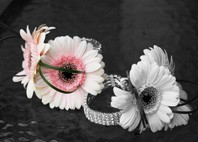 Tracy Williams Studio Photography - 1637_5.jpg