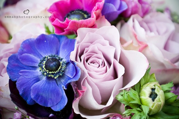 Emma B Photography - 2135_54de74e3b0b337.jpg