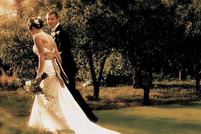Beautiful Image Weddings - 2251_351169338ac3c0.jpg