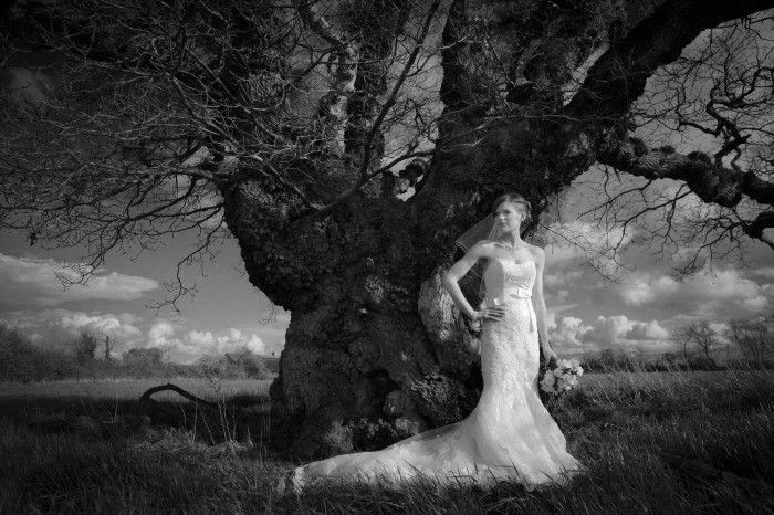 Camelot Photographic Ltd