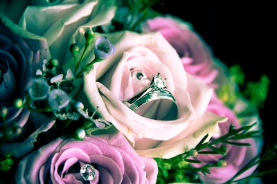 Green Honey Photography - 3619_14c5a7ffe41c6c.jpg