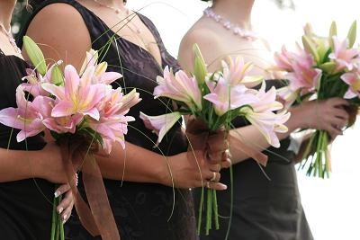 Jon Peters Photography - 3939_24bf2b0f3db643.jpg