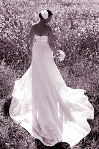 Shaun Taylor Photography - 4009_14bfda24ec17c1.jpg